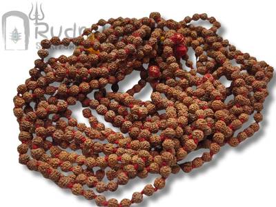 6 Mukhi Mala
